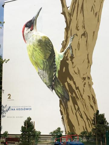Pierwszy mural z serii Ptaki.