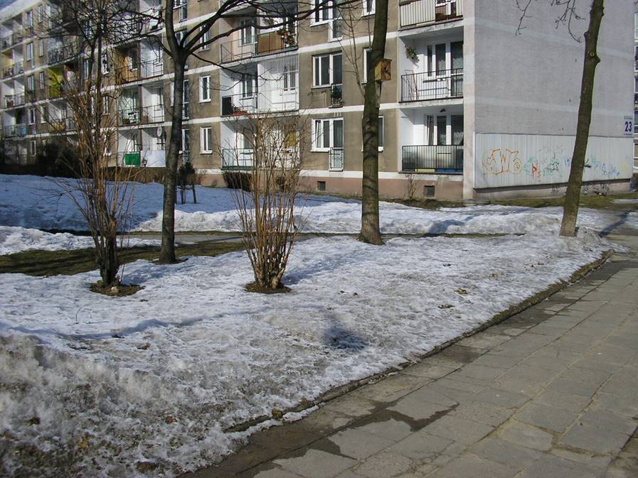 Nowosądecka23Stary